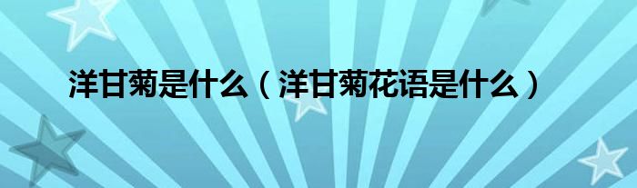 洋甘菊花语是什么(洋甘菊是什么)