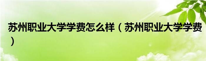 苏州职业大学学费(苏州职业大学学费怎么样)