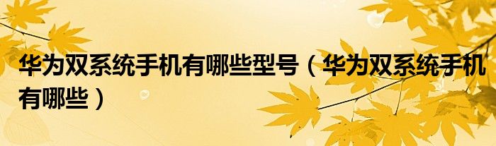 华为双系统手机有哪些(华为双系统手机有哪些型号)