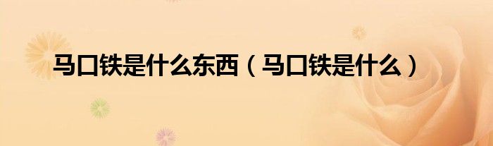 马口铁是什么(马口铁是什么东西)