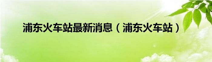 浦东火车站(浦东火车站最新消息)