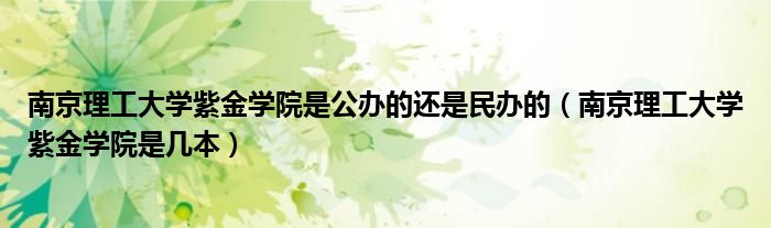 南京理工大学紫金学院是几本(南京理工大学紫金学院是公办的还是民办的)