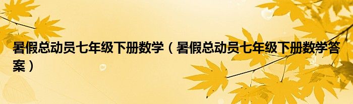 暑假总动员七年级下册数学答案(暑假总动员七年级下册数学)