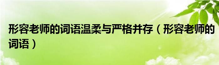 形容老师的词语(形容老师的词语温柔与严格并存)
