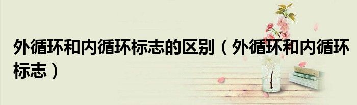 外循环和内循环标志(外循环和内循环标志的区别)
