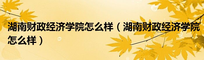 湖南财政经济学院怎么样(湖南财政经济学院怎么样)