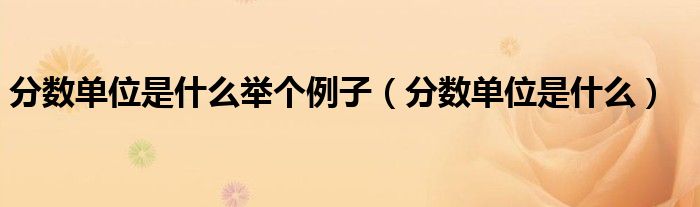分数单位是什么(分数单位是什么举个例子)