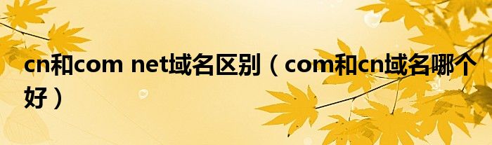 com和cn域名哪个好(cn和com net域名区别)