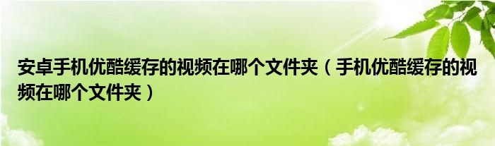 手机优酷缓存的视频在哪个文件夹(安卓手机优酷缓存的视频在哪个文件夹)