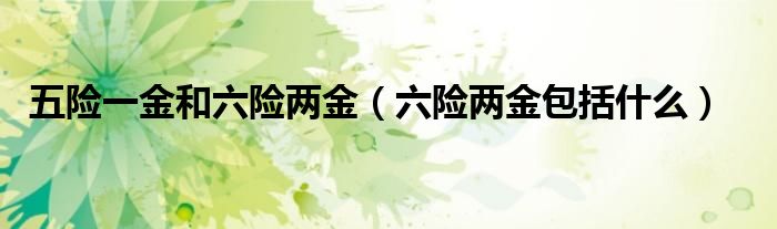 六险两金包括什么(五险一金和六险两金)