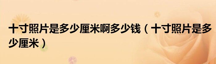 十寸照片是多少厘米(十寸照片是多少厘米啊多少钱)