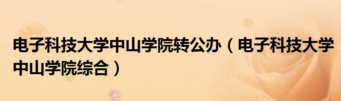 电子科技大学中山学院综合(电子科技大学中山学院转公办)