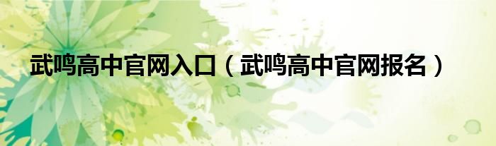 武鸣高中官网报名(武鸣高中官网入口)