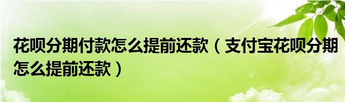 支付宝花呗分期怎么提前还款(花呗分期付款怎么提前还款)