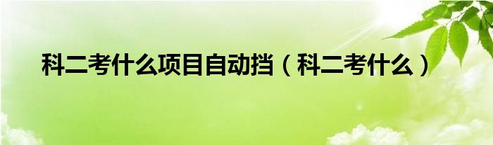 科二考什么(科二考什么项目自动挡)