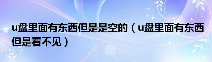 u盘里面有东西但是看不见(u盘里面有东西但是是空的)