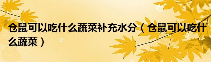 仓鼠可以吃什么蔬菜(仓鼠可以吃什么蔬菜补充水分)