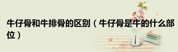 牛仔骨是牛的什么部位(牛仔骨和牛排骨的区别)