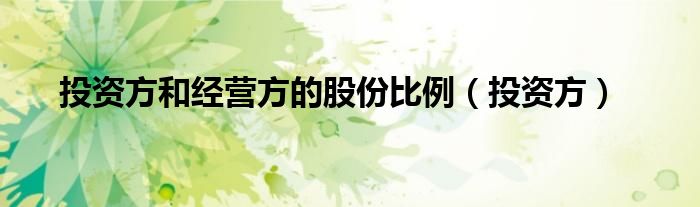 投资方(投资方和经营方的股份比例)