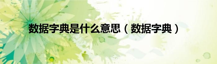 数据字典(数据字典是什么意思)