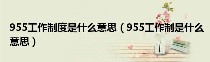 955工作制是什么意思(955工作制度是什么意思)