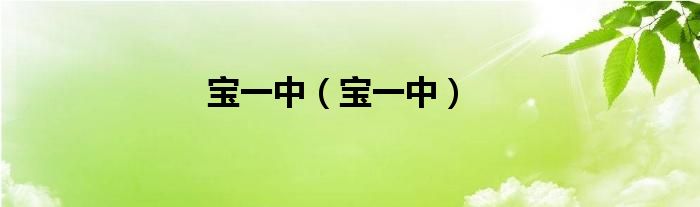 宝一中(宝一中)