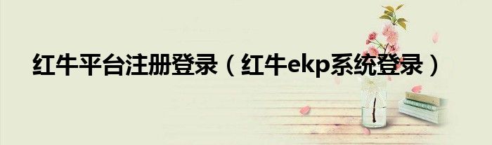红牛ekp系统登录(红牛平台注册登录)