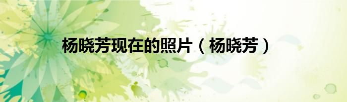 杨晓芳(杨晓芳现在的照片)