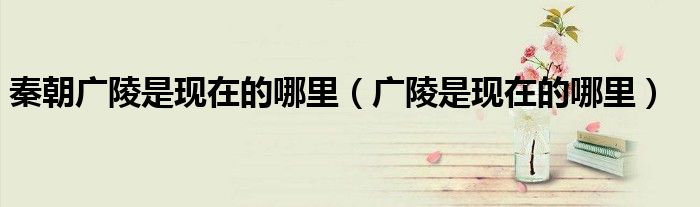 广陵是现在的哪里(秦朝广陵是现在的哪里)