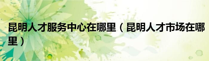 昆明人才市场在哪里(昆明人才服务中心在哪里)