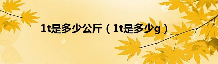 1t是多少g(1t是多少公斤)