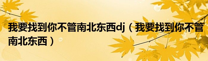 我要找到你不管南北东西(我要找到你不管南北东西dj)