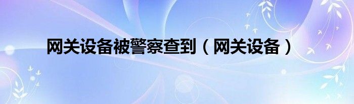 网关设备(网关设备被警察查到)