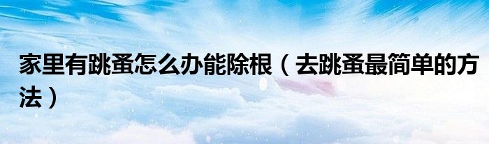 去跳蚤最简单的方法(家里有跳蚤怎么办能除根)
