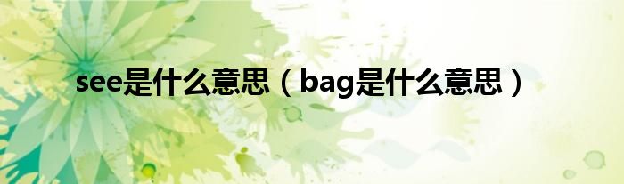 bag是什么意思(see是什么意思)