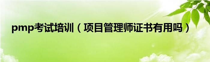 项目管理师证书有用吗(pmp考试培训)