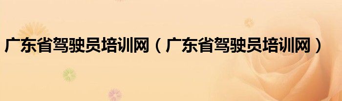广东省驾驶员培训网(广东省驾驶员培训网)