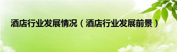 酒店行业发展前景(酒店行业发展情况)