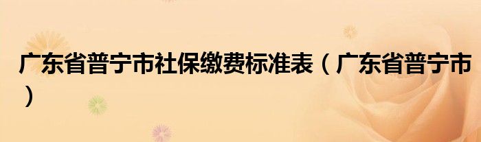 广东省普宁市(广东省普宁市社保缴费标准表)