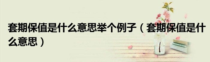 套期保值是什么意思(套期保值是什么意思举个例子)