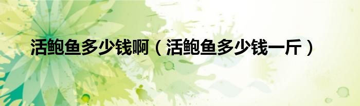 活鲍鱼多少钱一斤(活鲍鱼多少钱啊)