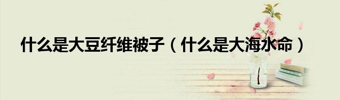 什么是大海水命(什么是大豆纤维被子)