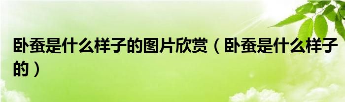 卧蚕是什么样子的(卧蚕是什么样子的图片欣赏)