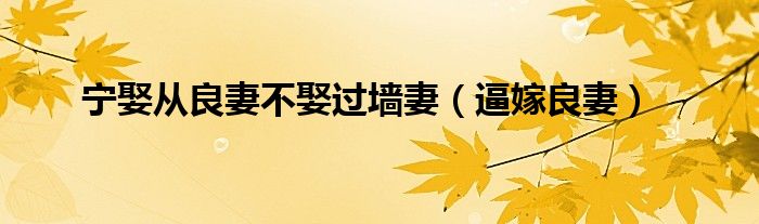 逼嫁良妻(宁娶从良妻不娶过墙妻)