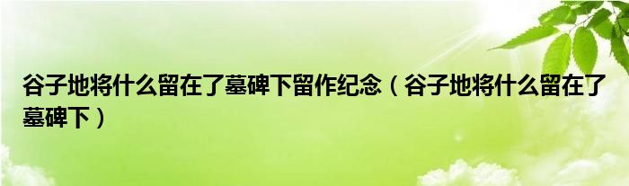 谷子地将什么留在了墓碑下(谷子地将什么留在了墓碑下留作纪念)