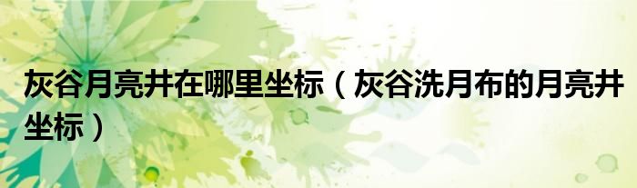 灰谷洗月布的月亮井坐标(灰谷月亮井在哪里坐标)