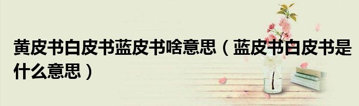 蓝皮书白皮书是什么意思(黄皮书白皮书蓝皮书啥意思)