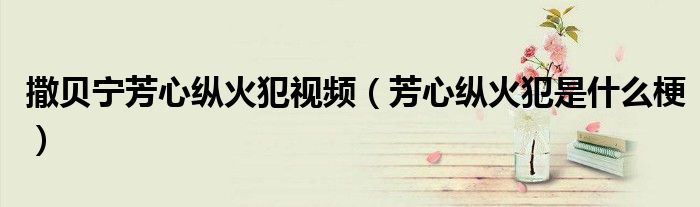 芳心纵火犯是什么梗(撒贝宁芳心纵火犯视频)