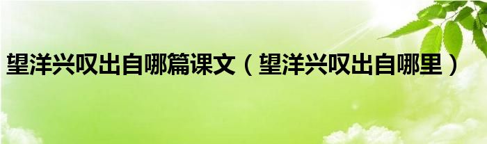 望洋兴叹出自哪里(望洋兴叹出自哪篇课文)