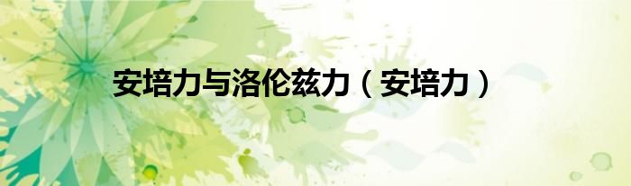 安培力(安培力与洛伦兹力)